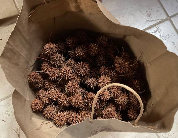 Bag of Sweet Gum Balls 1