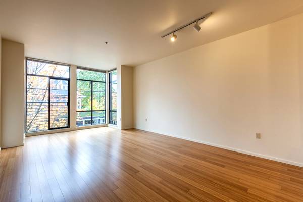 Modern Bay Windows ~ Floor to Ceiling ~ Overlooking NW 23rd Ave 1