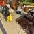 Huge Garage Sale - Multiple Houses 1 thumbnail