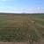 Straw square bales 2 thumbnail