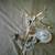 Near new 3 Light Crystal White Hardwire Flush Mount Chandelier H22”xW1 5 thumbnail