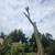 Antonio Tree Service Omaha 10 thumbnail