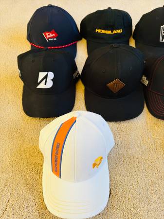 10 New Sports & Casual Hats/Caps - $20 (san jose west)63471477506689121