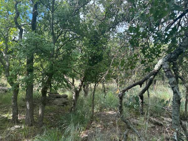 $14,900 3040 Cutter Circle, May TX 1.33 acres can have RV mobile home whatever you like (May)64163322728322124