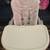 INFAS Highchair (Pink) 2 thumbnail