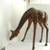 large giraffe 2 thumbnail