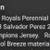 Kansas City Royals World Series Jersey - Salvador PEREZ #13, Size 56, 3 thumbnail