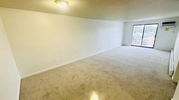 Large 2 bedroom condominium 1