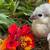 Hatching eggs 5 thumbnail