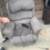 Lift chair 5 thumbnail