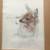 Danish artist Moos Mads Stage 2 vintage prints Hedgehog Fawn A148 2 thumbnail