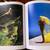 Rare Fashion Photography Book (Italy): Nei luoghi del disincanto 10 thumbnail