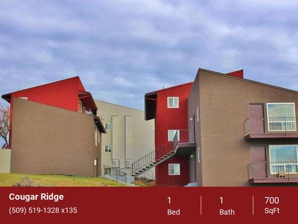$1,099 / 1br - 700ft2 - Green Space, Wireless Fiber Internet -Fastest in Pullman! (2024 NE Terre View Dr. Pullman, WA. 99163)63980820723715124