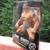 WWE Ring Giants Randy Orton 14" Jakks Posable Action Figure-New 2 thumbnail