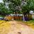 Investors! Current tenant-occupied home - immediate income and invest 1 thumbnail