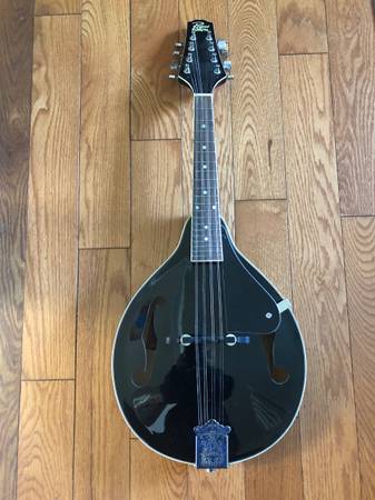 Mandolin with case 1