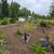 FRANCISCO LANDSCAPING SERVICES 3 thumbnail