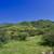37 Acre Build-Ready Ranch -Well, Power & Septic - Owner Says Sell! 18 thumbnail