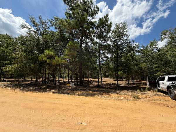 $34,000 / 18000ft2 - Terreno grande LISTO PARA CONSTRUIR de 0.41 acre cerca de Gainesville FL! (Interlachen)63823028666753123