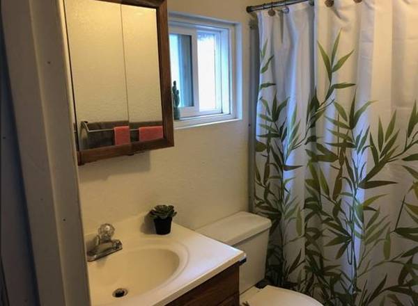 $550 1br- Habitación amueblada grande en alquiler (Nashville, TN)63680393427585123