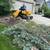 🌳🌲🏡Tree Service,Tree Removal,Stump Grinding,Tree Trimming 1 thumbnail