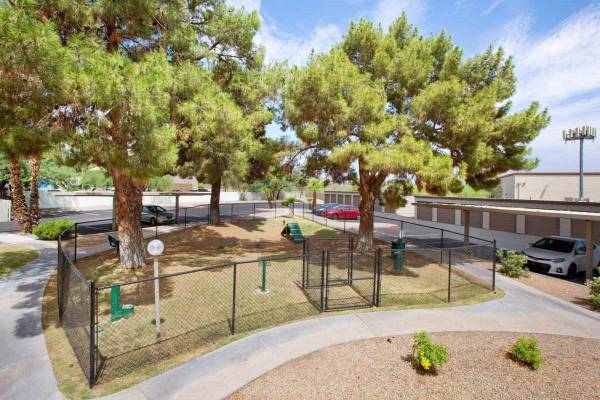 $1,445 / 1 hab. - 750 pies² - Amplio espacio en tu nuevo departamento de 1 habitación y 1 baño, con lavadora y secadora (Phoenix)63623896768003122