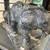 Vintage elephant family sculpture 2 thumbnail