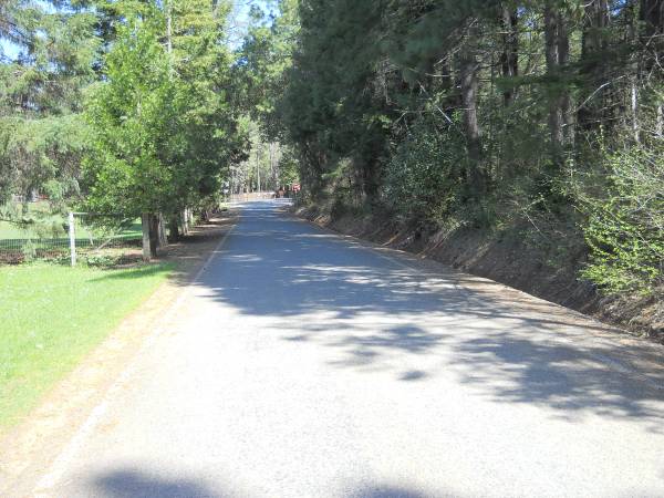 $135,000 25k down 4.75 ac Sunny Valley.  Wooded, gently sloping land zoned RR5 (Sunny Valley)64192594955009123