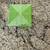 Valentino Born in Roma GREEN STRAVAGANZA Women Perfume 3.4oz EDP Spray 3 thumbnail