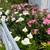 Very Quiet, Private In-law Garden Studio 13 thumbnail