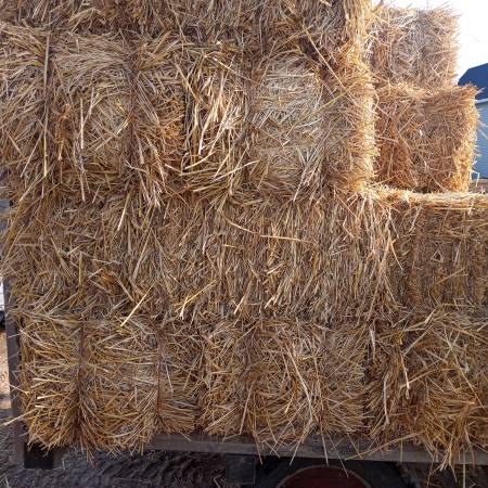 Straw bales 1