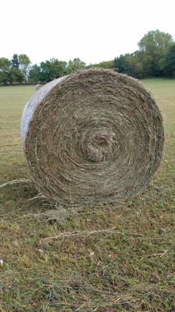 BROME HAY 1