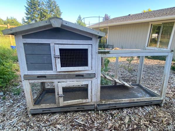 2 female Holland Lop Rabbits, hutch, feeders, waterers & feed - $125 (Snohomish)63471234887811124