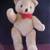 Teddy Bear  NEW 2 thumbnail