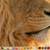 iMac 20" loaded with graphic apps. 3 thumbnail