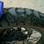 2014 Yamaha Super Tenere 1200 4 thumbnail