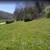 125.63 Acres Cookeville TN 3 thumbnail