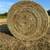 Hay for sale- goat, cow & horse hay 1 thumbnail