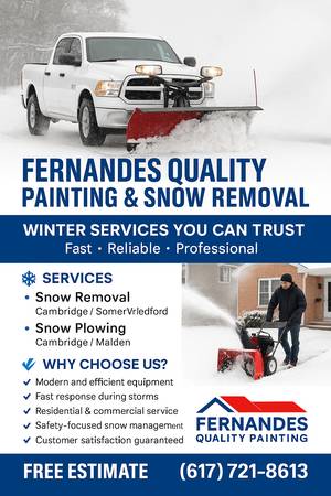 Snow Removal Services /Professional Services 1