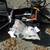 3 CHAIN SAWS, AND CASES 5 thumbnail