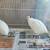 Quails, Fertilized Hatching Quail Eggs of multiple rare colors 6 thumbnail