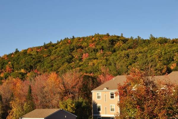 $2,475 / 2br - 875ft2 - 24/7 Emergency Maintenance, Parking, Pet Friendly (42 Wolf Rd, Lebanon, NH, USA, Lebanon, NH)63932058757378124