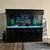 220 gallon aquarium 2 thumbnail
