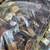 Watches Vintage Assorted Lot SALE ALL MUST GO!!! 6 thumbnail