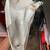 1954 Harley gas tank's original nice shape 4 thumbnail