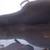 As-New Road Runner Soft Case / Gig Bag 7 thumbnail