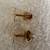Chinese "good luck" gold earrings 2 thumbnail