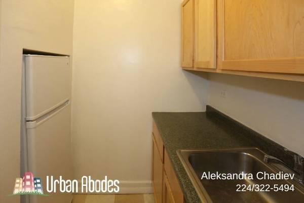 $1,395 / 400ft2 - Appealing Studio, 1 Bath in Lincoln Park, Available: Now (Lincoln Park)63899122717698123