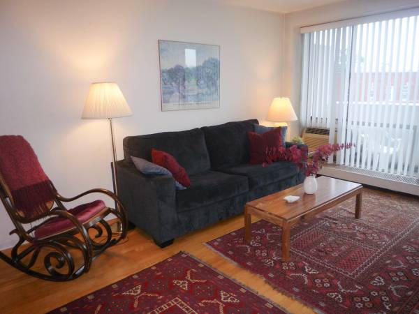 $2,800 / 1br - 500ft2 - Avl SEP 15 - Fully-Furnished Sunny 1BR - Utils Incl - Walk to HARVARD! (Harvard Square, Cambridge MA)63699469259521124