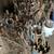 Anvils, Tongs, Blacksmith Leg Vises, Hardis, Hammers, Fullers, Forges 13 thumbnail